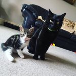 Walter & Wilbur Mountain - @walter_wilbur_mountain - Instagram