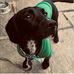 Wilbur Walters - Facebook