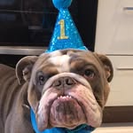 Walter Wilcox - @walter12560 - Instagram