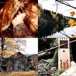 Walter Wilkinson - @walterwilkinson7 - Instagram