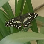 Walter Wilkinson - @wilkinson_walter - Instagram