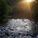 Walter Willis - @walterwillis2 - Instagram