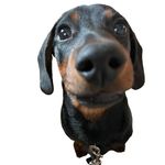 Walter Winkel - @waltertwinkle - Instagram