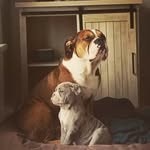 Walter & Winter - @walter_and_winter - Instagram