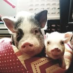 Walter And Winter - @walter_n_winter - Instagram
