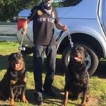 Walter Winter - @walterwinter1617 - Instagram