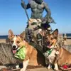 walter.and.winter - @walter.and.winter - TikTok