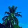 Walter Wisdom - @wizzy.max_ - TikTok