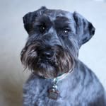 Walter the Wise - @wise.walter - Instagram