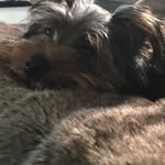 Walter Wise - @walter_rodriguez_wise - Instagram