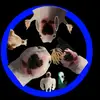 WiseWalter - @wisewalterofthegreat - TikTok