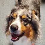 Walter Lee Wiseman - @wisemanwalter - Instagram