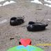 Walter Witte - Facebook