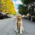 Walter Witte - @thewalterwitte - Instagram