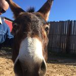 @witty_walter - Instagram
