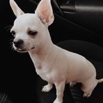 Walter Whitty - @walter.witty.2 - Instagram