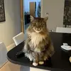 WalterWitty - @walterwitty - TikTok