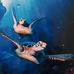 Walter Woolman - Facebook