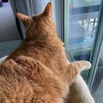 Walter R. Workman - @walterr.workman - Instagram