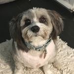 Walter Worthington III - @walter_worthington_iii - Instagram