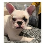 Walter York - @edeikanewraj - Instagram