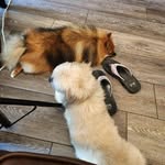 Sandi Walters-Zebrowski - @walterszebrowski - Instagram