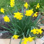 Walter Zecchini - Facebook