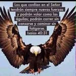 Walter Zelaya - @walter.zelaya.967806 - Instagram