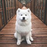 Walter Zuber - @walter.zuber.988 - Instagram