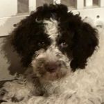 Walter Zuber - @knorrli11 - Instagram