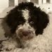 Walter Zuber - Facebook