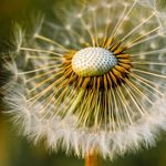Walter Zuber - @fotobaer86 - Instagram