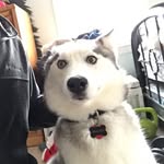 Walton Brown - @walton_brown - Instagram