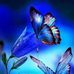 Karen Foley Walton - Facebook