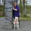 waltraudmooren - @waltraudmooren - TikTok