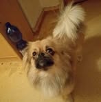Sylvia Waltraud Schubert - Facebook