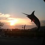 Wan Chew Chang - @wanchewchang - Instagram