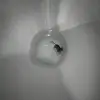 wanchooo - @waaahhchooo - TikTok