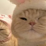 ванюшкинс - @_wanchouzz_ - Instagram