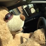 Wan Chow - @master_teddy_bear - Instagram