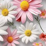 Wan Kwong - @wankwongkwong - Instagram