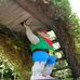 Wan Kwong - Facebook