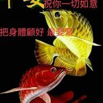 Wan Kwong Kan - @wankwongkan - Instagram