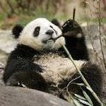 Wan Kwong Lai - @wankwonglai - Instagram