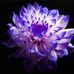 Wan Yee Kwong - Facebook
