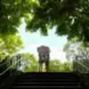 wankwong1973 - @wankwong1973 - TikTok