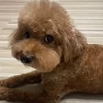 Wan Leong - @wan.leong - Instagram
