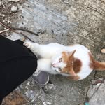Wan Yuen - @wan.yuen.0110 - Instagram