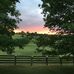 Wanda Abbott - Facebook