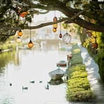 Wanda Abbott - @wandaabbott67 - Instagram